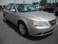 Camel Pearl - Sonata GLS Photo No. 7