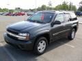 Dark Gray Metallic - TrailBlazer LS Photo No. 1