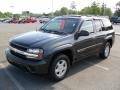 2003 Dark Gray Metallic Chevrolet TrailBlazer LS  photo #1