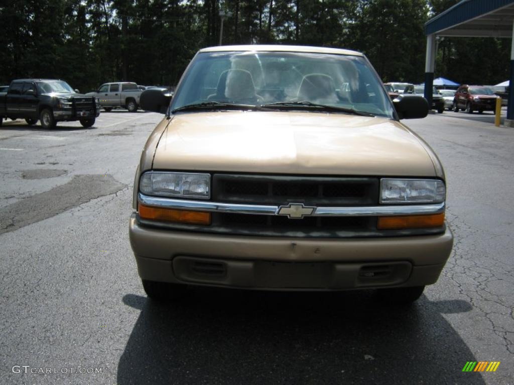 1999 S10 LS Regular Cab - Sunset Gold Metallic / Beige photo #5