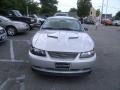 2002 Satin Silver Metallic Ford Mustang GT Coupe  photo #8
