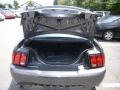 2004 Dark Shadow Grey Metallic Ford Mustang GT Coupe  photo #9