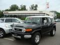 Black Diamond - FJ Cruiser 4WD Photo No. 1