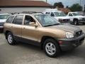 2002 Sandstone Hyundai Santa Fe GLS  photo #6