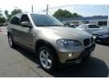 Platinum Bronze Metallic - X5 xDrive30i Photo No. 1