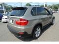 Platinum Bronze Metallic - X5 xDrive30i Photo No. 2