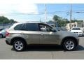 Platinum Bronze Metallic - X5 xDrive30i Photo No. 3