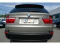Platinum Bronze Metallic - X5 xDrive30i Photo No. 12