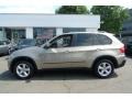 Platinum Bronze Metallic - X5 xDrive30i Photo No. 16