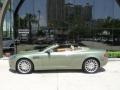 California Sage - DB9 Volante Photo No. 3