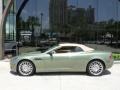 California Sage - DB9 Volante Photo No. 14