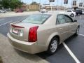 Sand Storm - CTS Sedan Photo No. 4