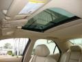 Sand Storm - CTS Sedan Photo No. 13