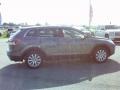 2008 Galaxy Gray Mica Mazda CX-9 Touring  photo #6