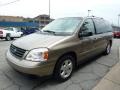 2004 Arizona Beige Metallic Ford Freestar SES  photo #5