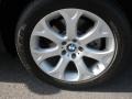 Black Sapphire Metallic - X5 4.8i Photo No. 5