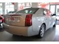 Light Platinum - CTS Sedan Photo No. 8