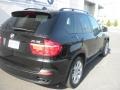 Black Sapphire Metallic - X5 4.8i Photo No. 28