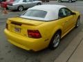 1999 Chrome Yellow Ford Mustang GT Convertible  photo #5