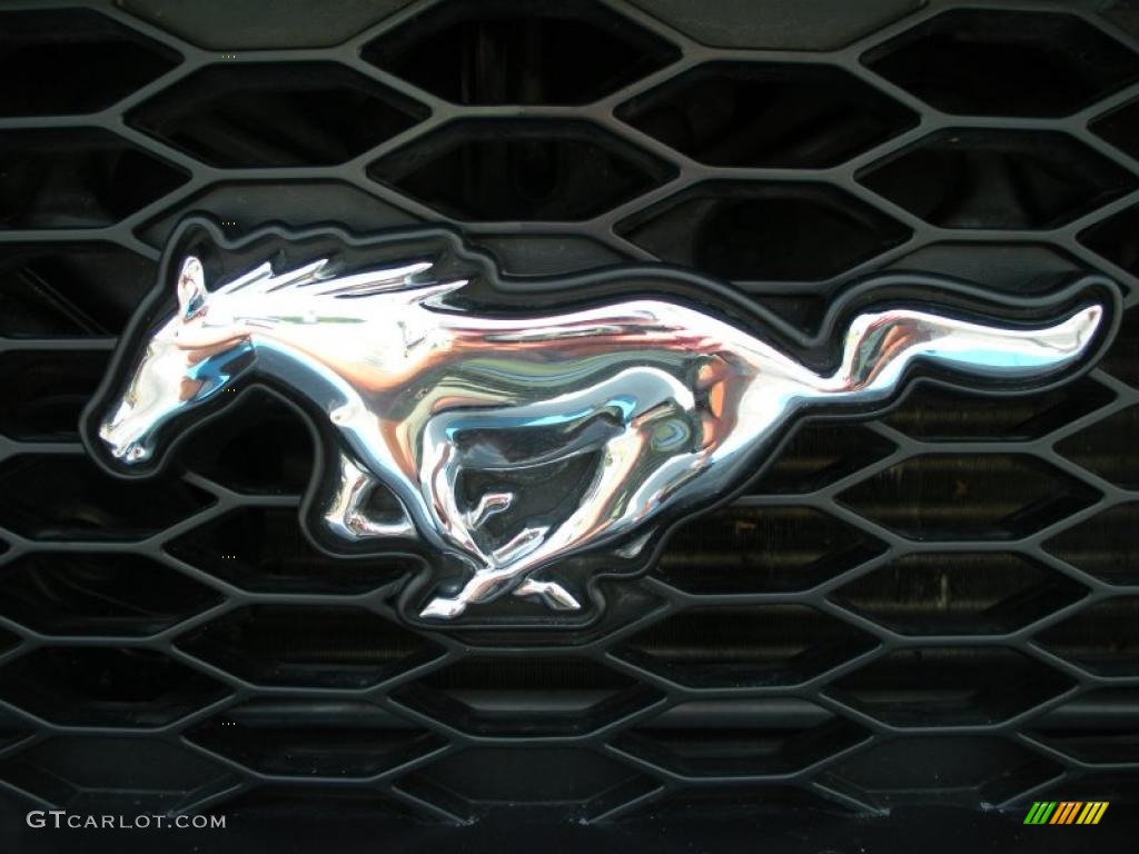 2008 Mustang V6 Premium Coupe - Alloy Metallic / Light Graphite photo #9