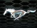 2008 Alloy Metallic Ford Mustang V6 Premium Coupe  photo #9