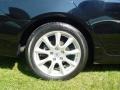 Nighthawk Black Pearl - TSX Sedan Photo No. 11