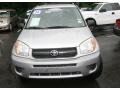 Titanium Metallic - RAV4  Photo No. 2
