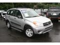 Titanium Metallic - RAV4  Photo No. 3