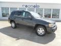 Dark Gray Metallic - TrailBlazer LS Photo No. 1