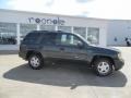 Dark Gray Metallic - TrailBlazer LS Photo No. 21