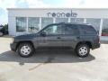 Dark Gray Metallic - TrailBlazer LS Photo No. 22
