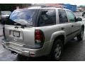 Silverstone Metallic - TrailBlazer LS 4x4 Photo No. 13