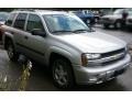 Silverstone Metallic - TrailBlazer LS 4x4 Photo No. 18