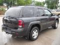 2005 Dark Gray Metallic Chevrolet TrailBlazer LS 4x4  photo #7