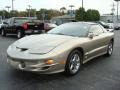 Pewter Metallic - Firebird Trans Am Coupe Photo No. 2