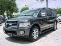 2008 Silver Graphite Gray Infiniti QX 56  photo #14