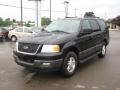 2005 Black Clearcoat Ford Expedition XLT 4x4  photo #8