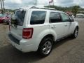 2009 White Suede Ford Escape Limited V6 4WD  photo #4