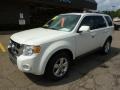 2009 White Suede Ford Escape Limited V6 4WD  photo #8