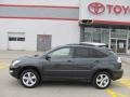 Flint Gray Mica - RX 330 AWD Photo No. 2