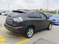 Flint Gray Mica - RX 330 AWD Photo No. 6