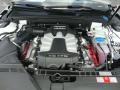 Ibis White - S4 3.0 quattro Sedan Photo No. 27