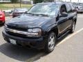 Black - TrailBlazer LS 4x4 Photo No. 1