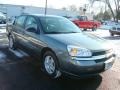 2005 Medium Gray Metallic Chevrolet Malibu LS V6 Sedan  photo #13