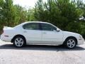 Icelandic Pearl - Maxima GLE Photo No. 11