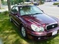 Ruby Red Metallic - Sonata GLS V6 Photo No. 4
