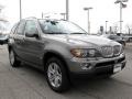 2006 Sterling Grey Metallic BMW X5 4.4i  photo #3