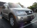 2005 Champagne Metallic Mitsubishi Montero Limited 4x4  photo #12