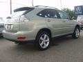 Bamboo Green Pearl - RX 350 AWD Photo No. 5