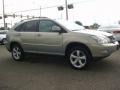 Bamboo Green Pearl - RX 350 AWD Photo No. 6